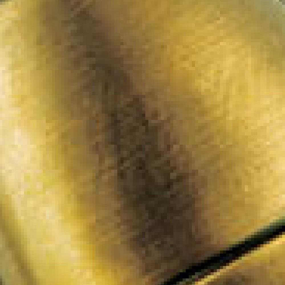 97623