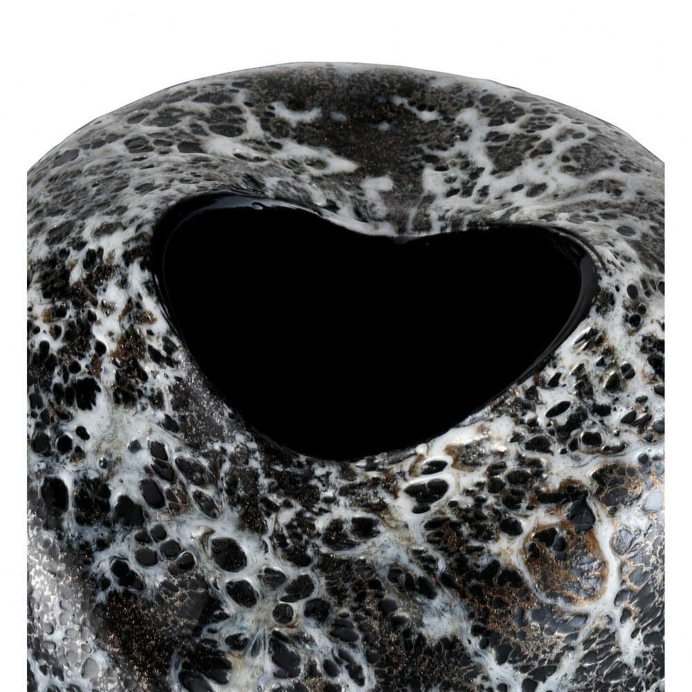 S0047-8069