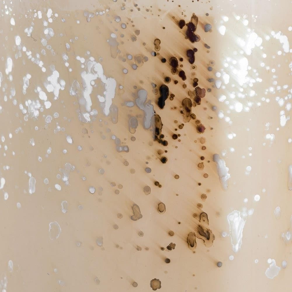 S0807-11353/S2