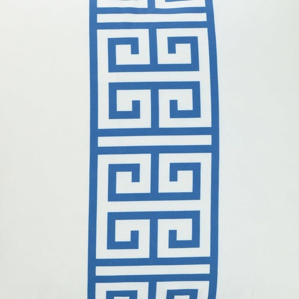 DFS10018DS