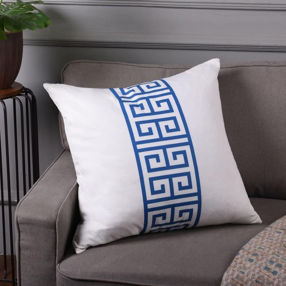 DFS10018DS