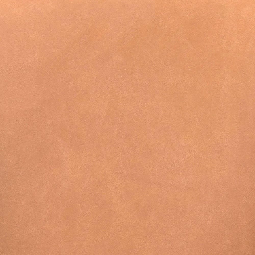 101981